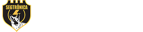 Segtrônica